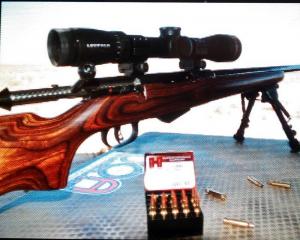 17Hornet-Savage.jpg